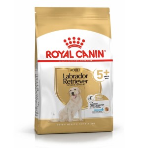 Royal Canin Seca Labrador Retriever Adulto 5+